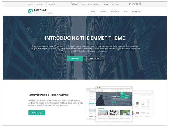 emmet business theme