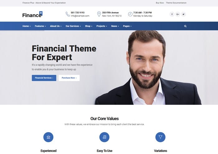 wordpress financial theme 