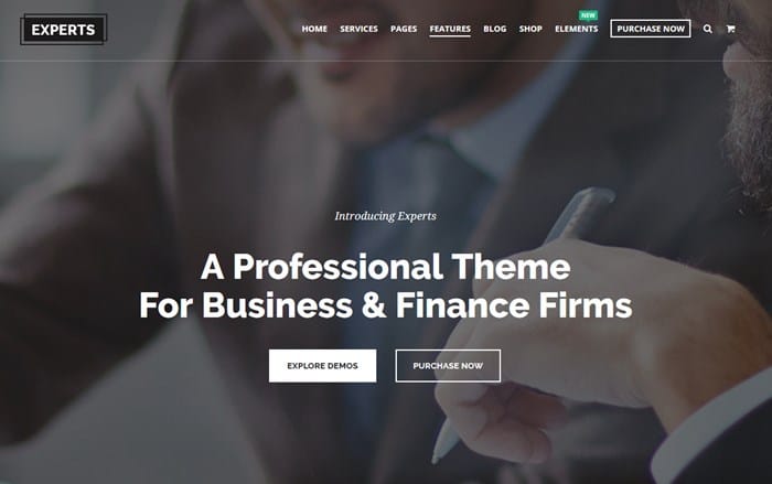 wordpress financial expert