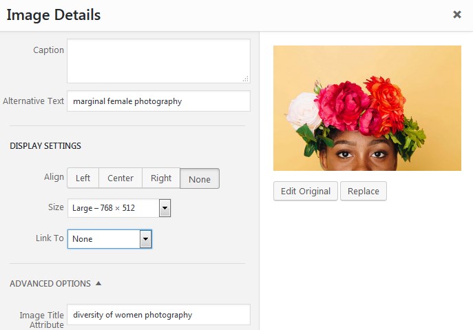 wordpress image title and tag