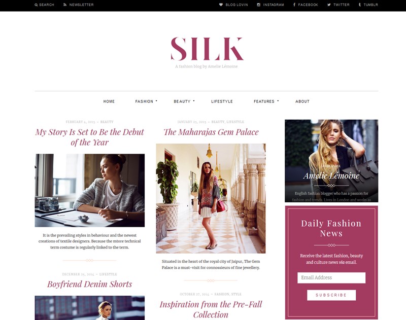 Silk lite free wp theme