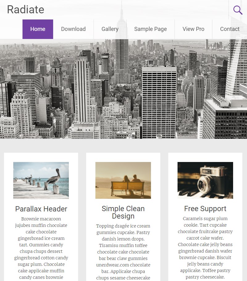 Radiate_WordPress_theme