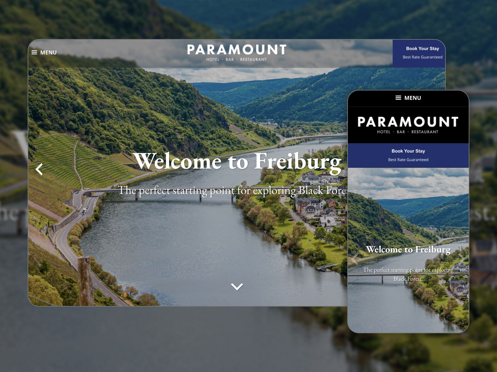 Paramount WordPress theme.