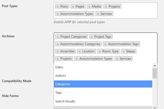 custom post types wordpress amp