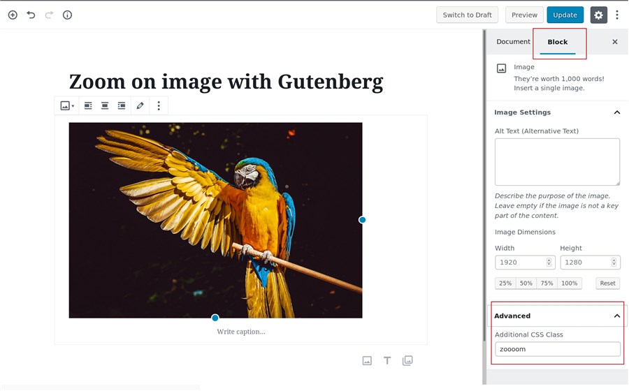 wp image zoom for gutenberg builder