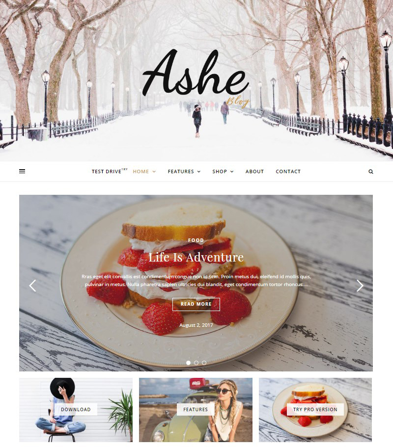 Ashe-free-WordPress-blog-themes