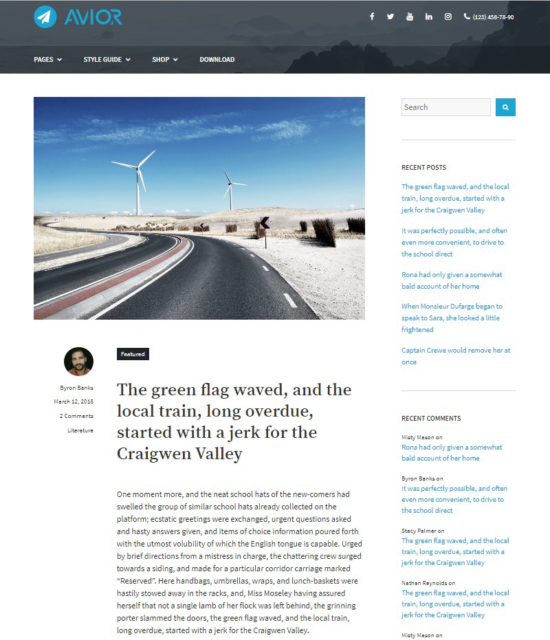 WordPress-blogging-theme-Avior-MotoPress