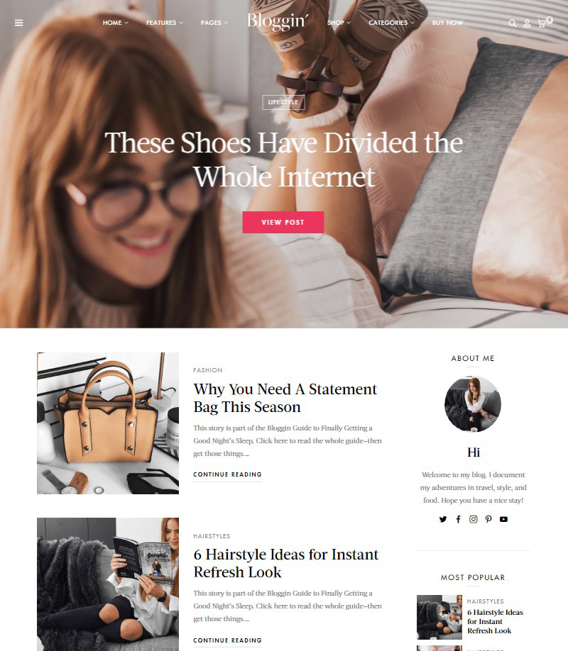 Blgn-personal-blog-theme-WordPress