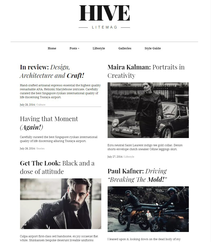 Hive-Lite-free-WordPress-blog-themes