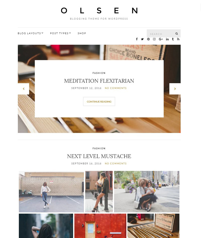 Olsen-Lite-blog-template-WordPress