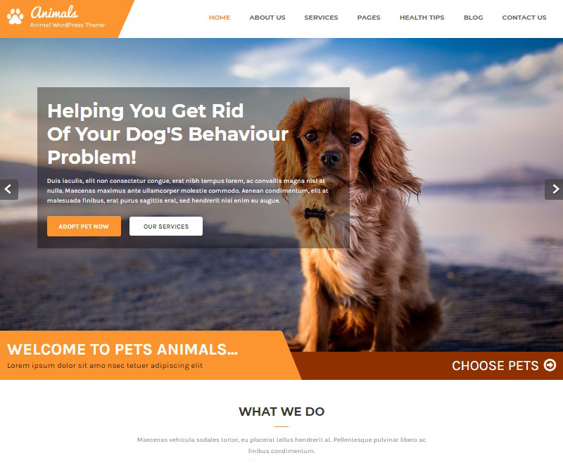 dog sitter website