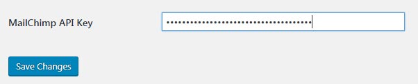 mailchimp-wordpress-api-key