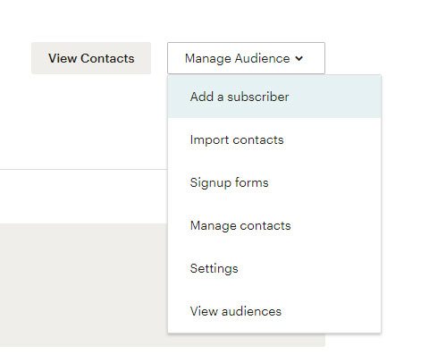 manage-audience-mailchimpmanage-audience-mailchimp