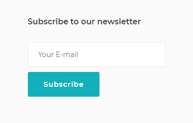 newsletter-subscription-form