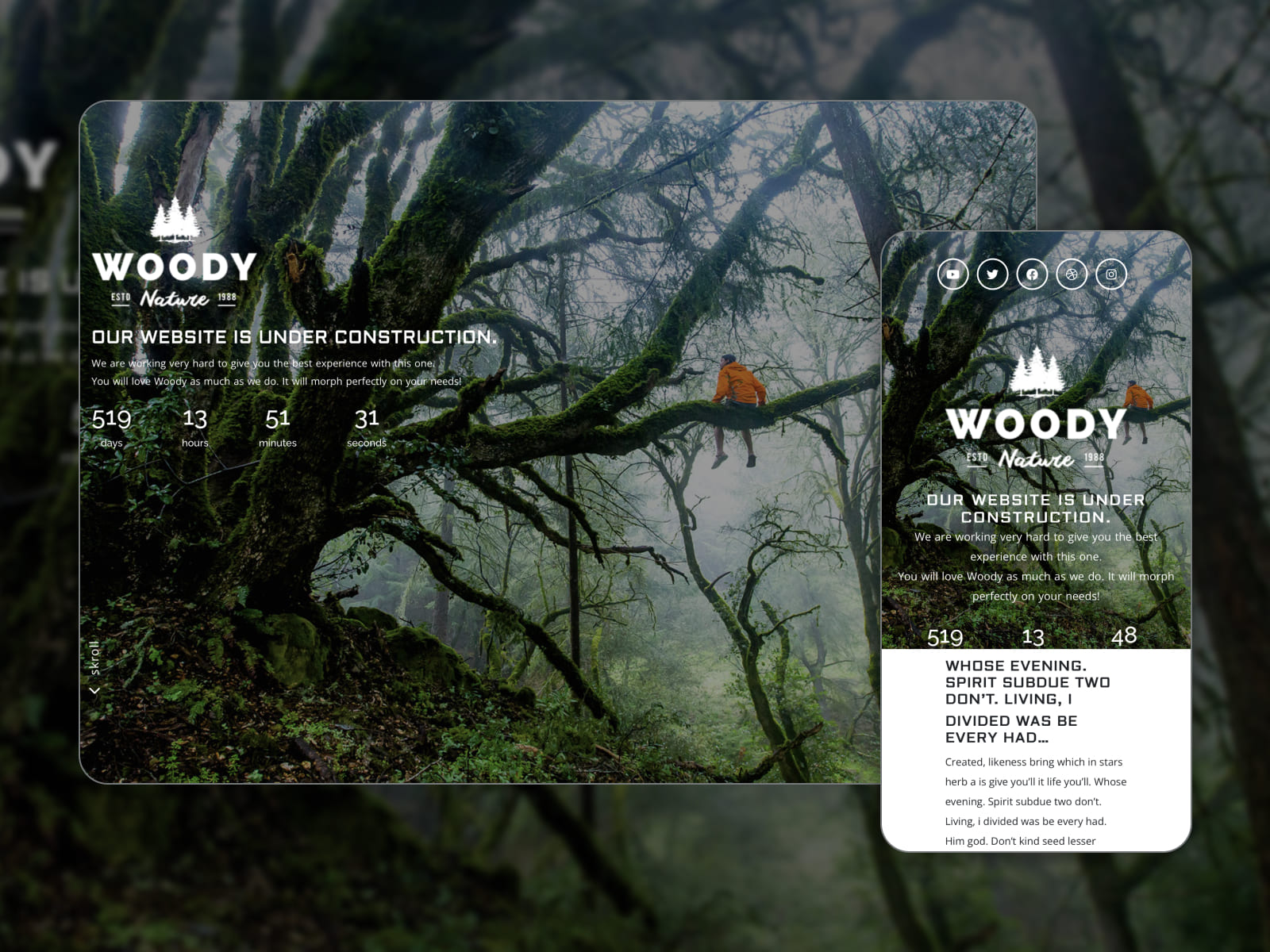 Collage of the Woody theme for WordPress coming soon websites.