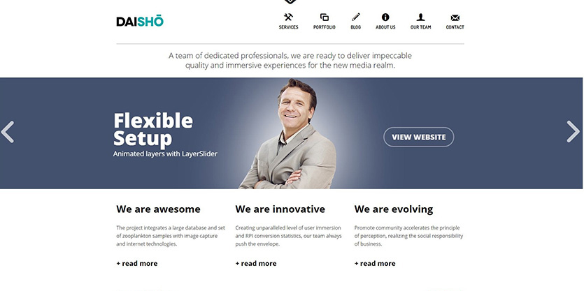 daisho-wordpress-theme