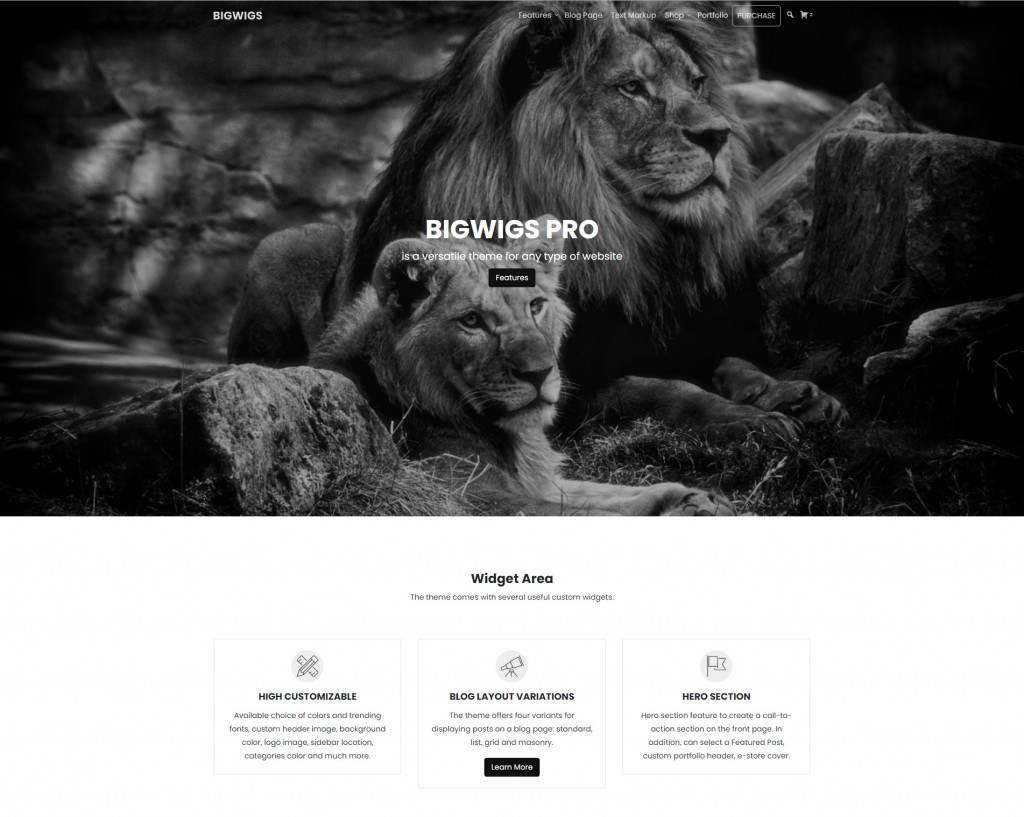 Bigwigs WordPress Theme