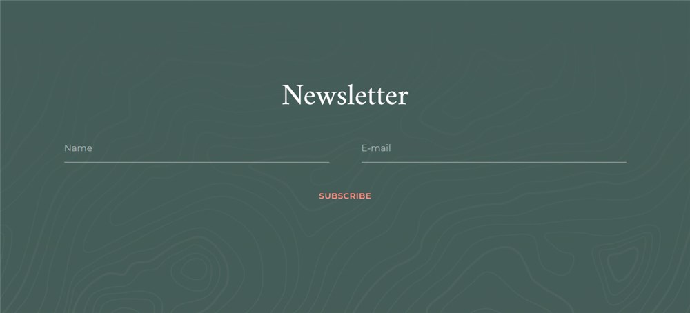 newsletter form