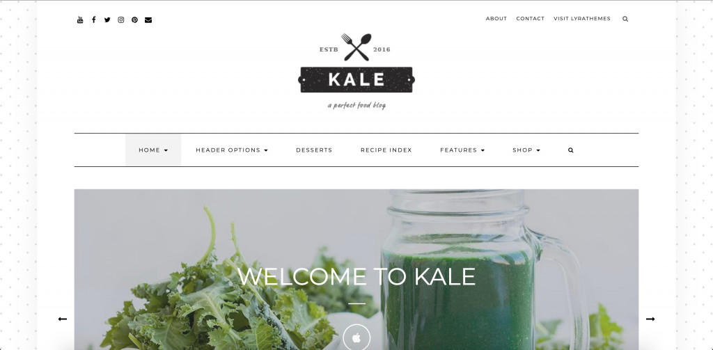 Kale Pro - Healthy Food WordPress Theme