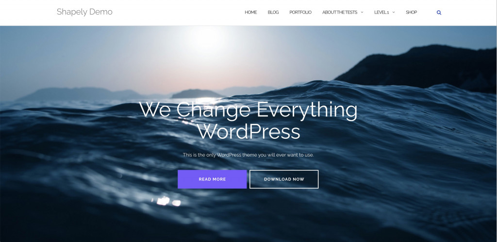 Shapely free WordPresss theme