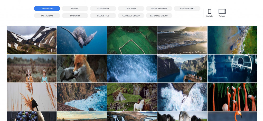 10Web WordPress gallery plugin