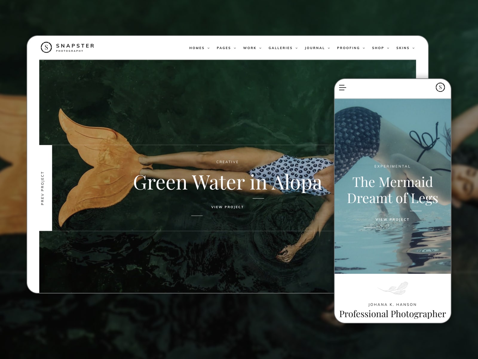 The Snapster WordPress theme design for photo projects.