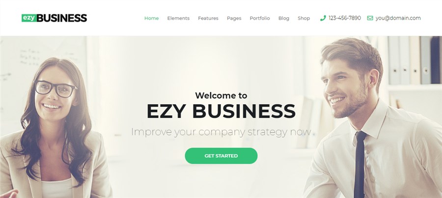EZY WordPess Consultants Theme 