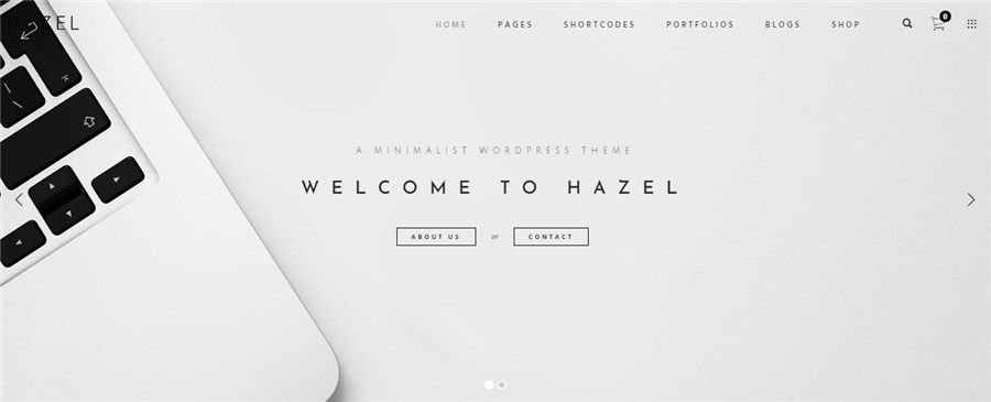 Best WP Hazel Themes for Writers