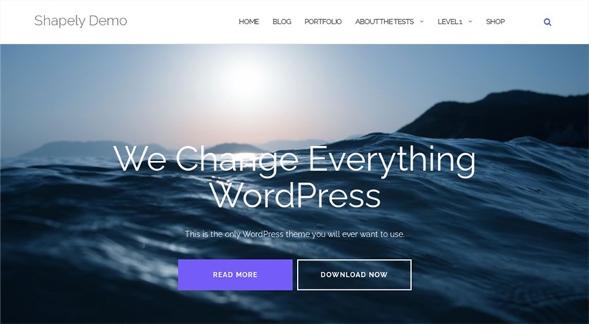 Shapely Best Theme for WordPress Beginners