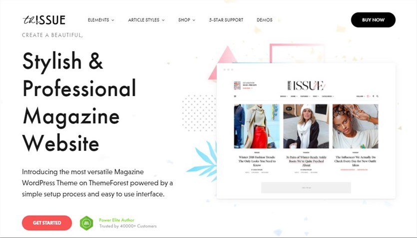 WordPress The Issue Best Theme for Beginners