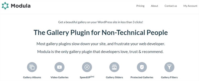 WordPress Modula image plugin