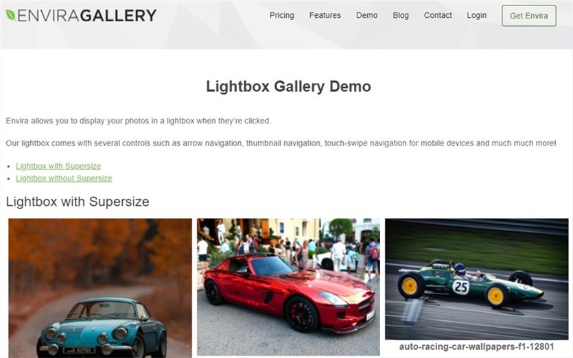 Envira Gallery Plugin for Images WordPress