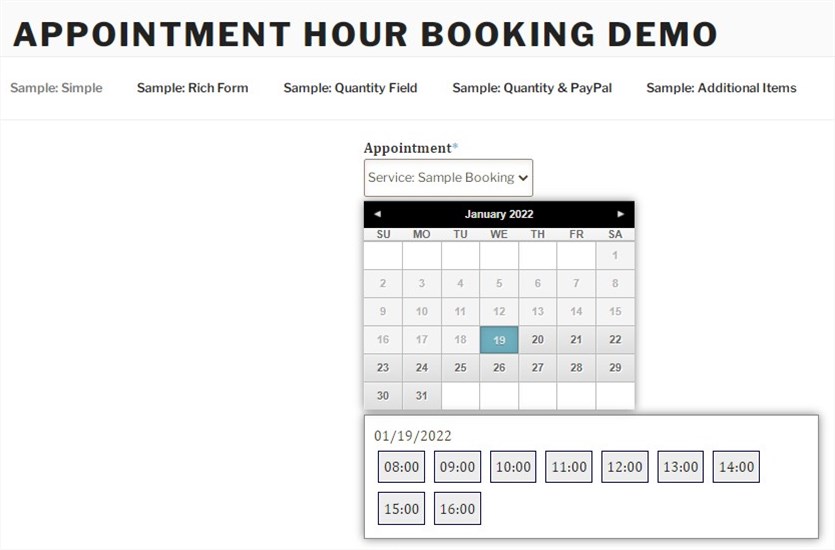 Appointment hour booking plugin wordpress