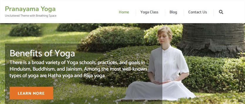 The Most Popular Yoga Wordpress Themes For Classes, Teachers, And 