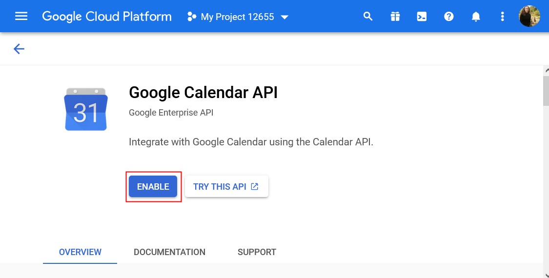 enable google calendar api