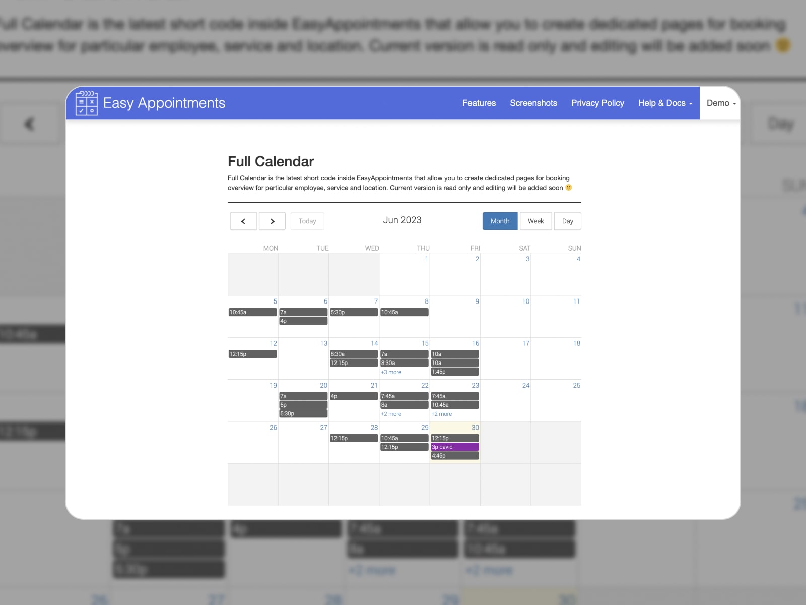 The Easy Appointments booking plugin.