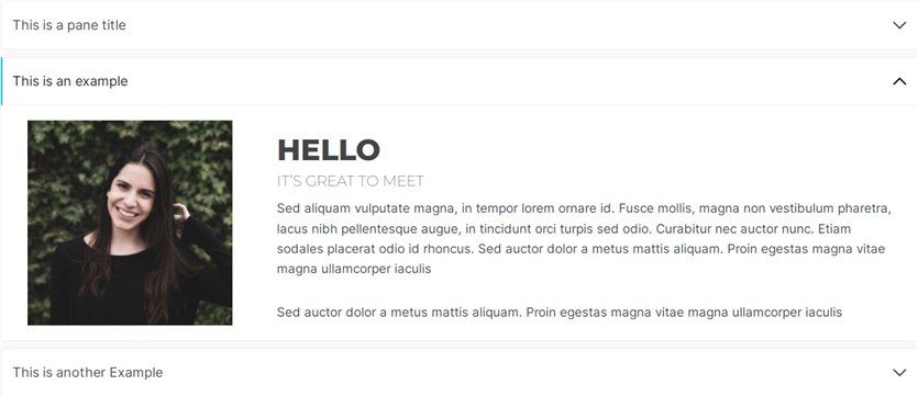 Kadence Blocks FAQ accordion wp plugin