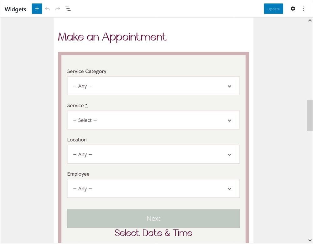 appointment booking widget customization