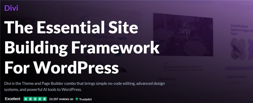 Screenshot of the Divi theme homepage.
