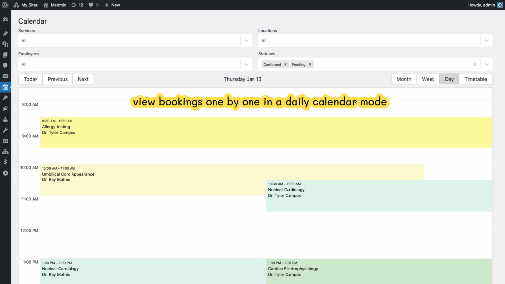 wordpress appointment booking calendar day