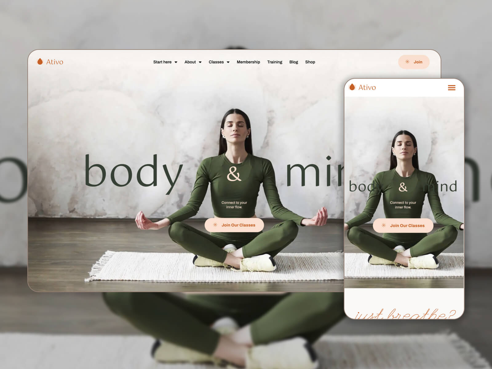 POP! Pilates on Page – Responsive WordPress Gym Fitness Theme