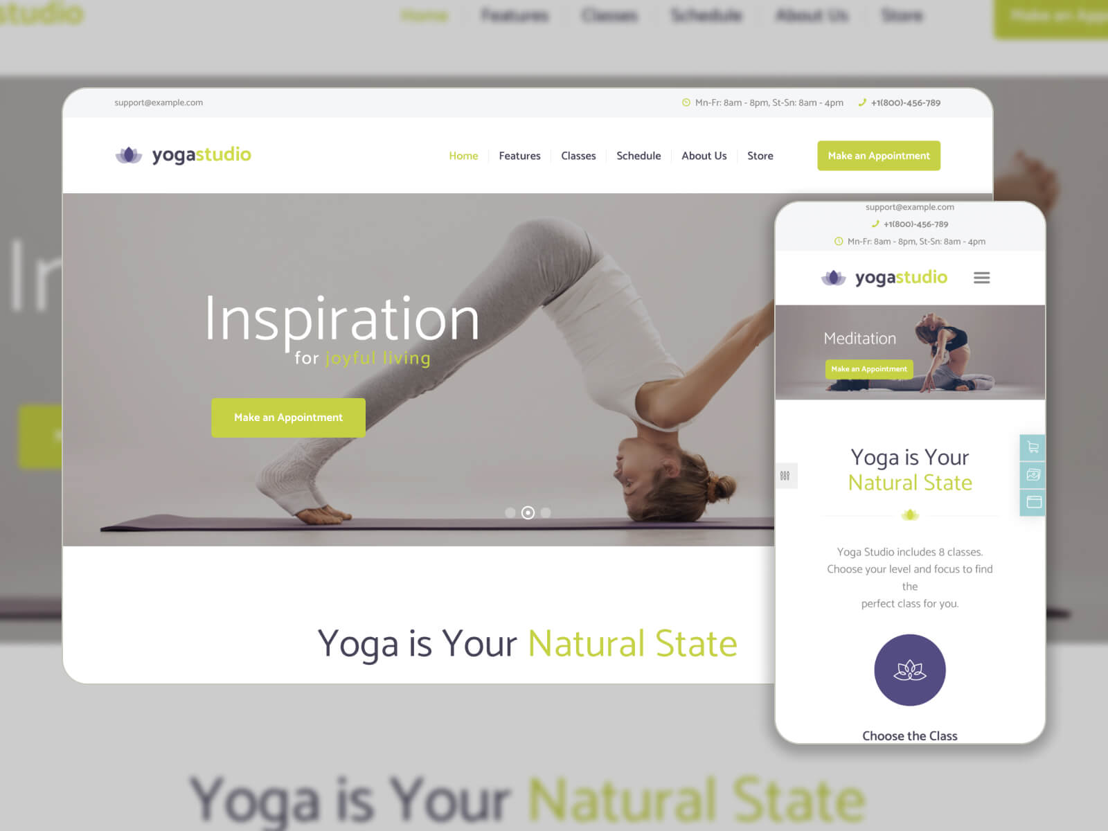 Snapshot of Yogastudio - beautiful and calming WordPress theme for yoga websites in dimgray, gray, darkgray, lightgray, and white color scheme