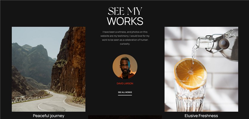 portfolio wordpress theme for photographers