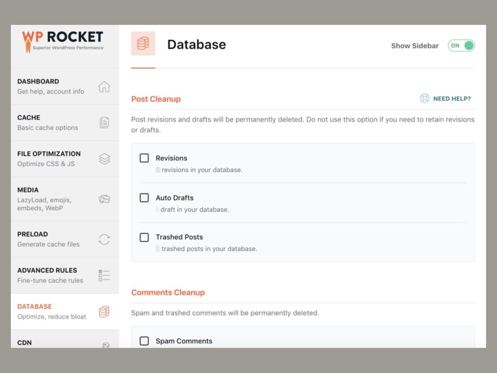 Image of Database optimization tab for the WP Rocket plugin review.