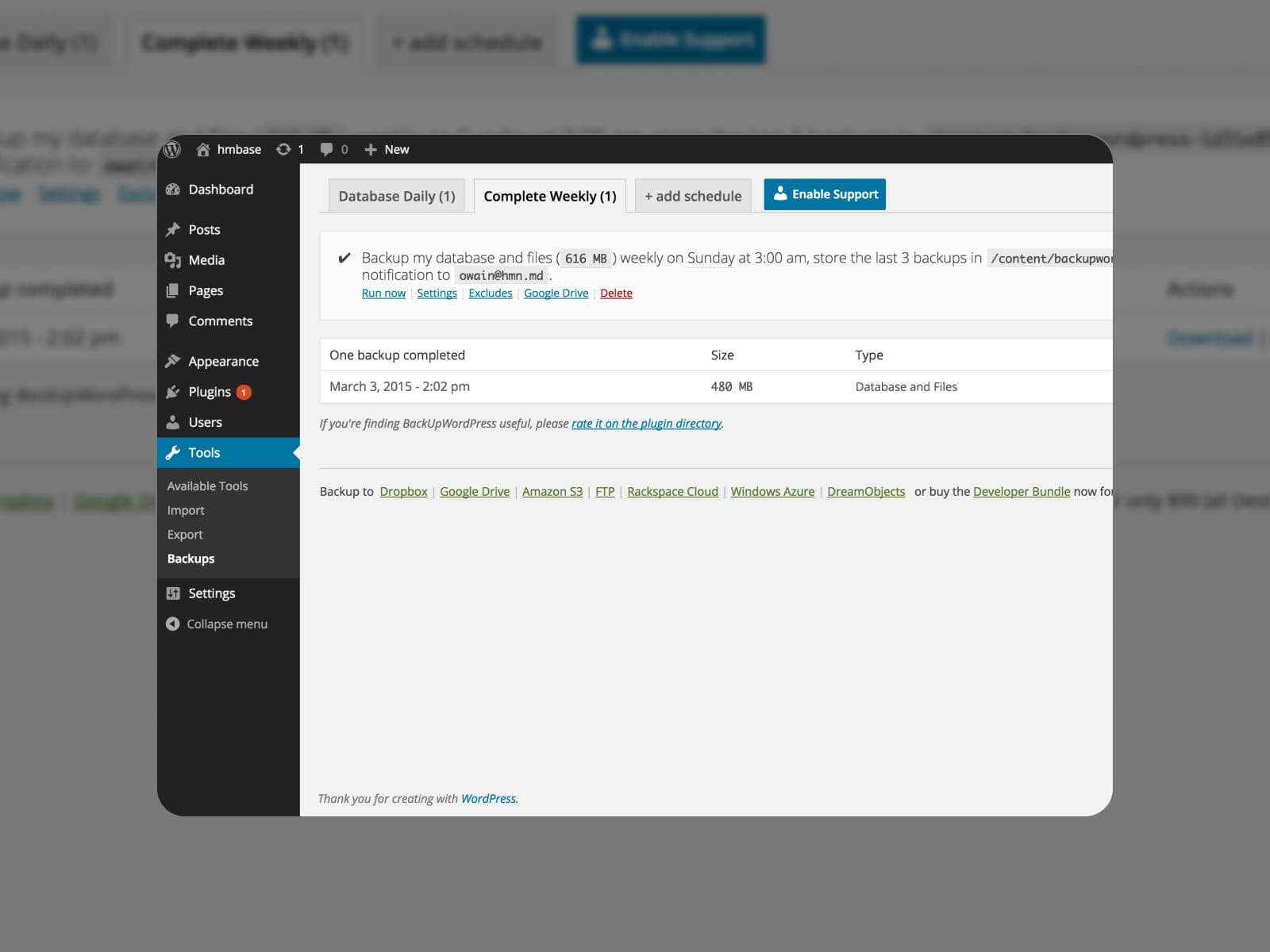 Backups tab in the WordPress dashboard of the BackUp WordPress plugin.