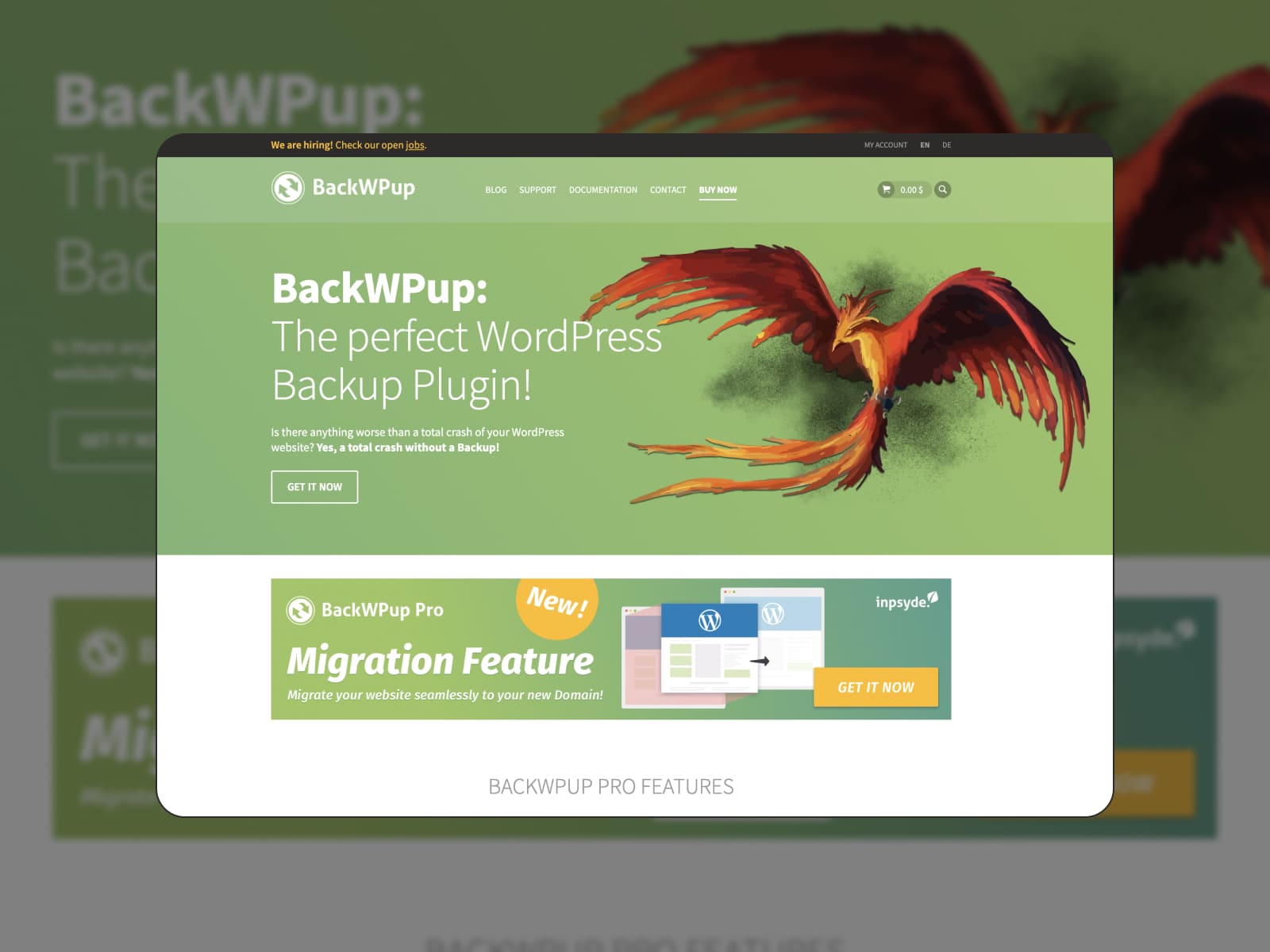 Screenshot of the BackWpup WordPress plugin homepage in green and white colors.