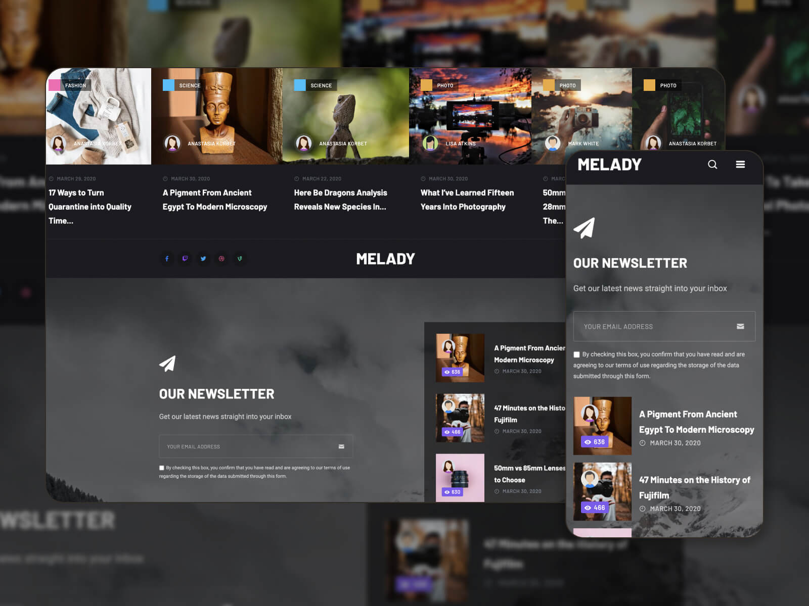Screenshot of the Melady WP theme demo page in a professional grayscale design.