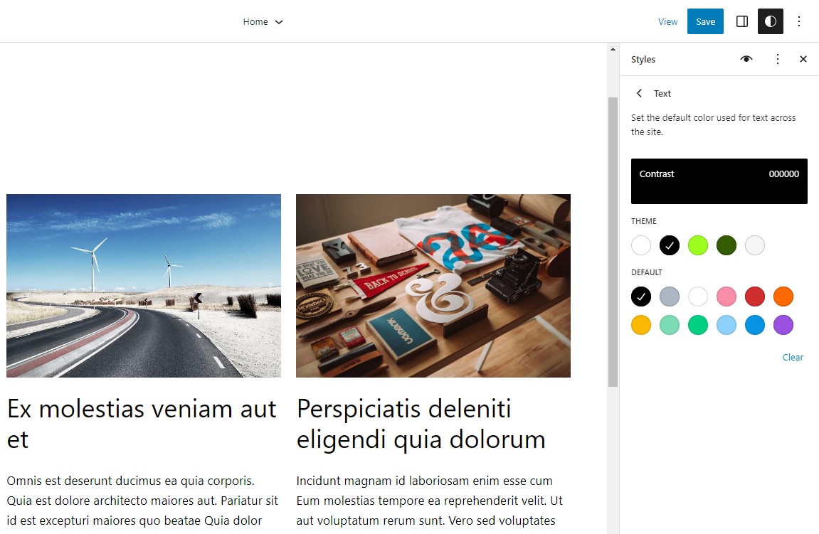 Color options can also be changed sitewide in the Twenty Twenty Three WordPress theme