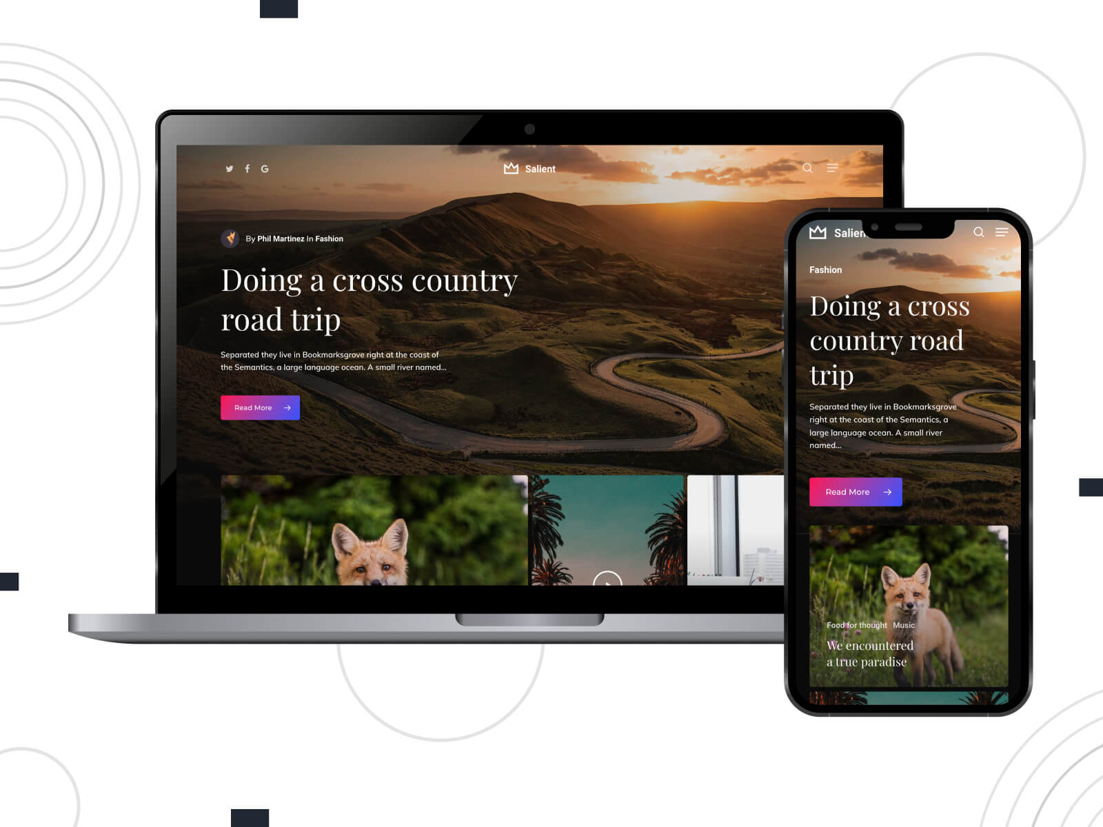 Photo of Salient - shadowed, inviting, ultra-responsive WP theme for fast-paced blogs in dim gray, tan, and dark slate gray color array.