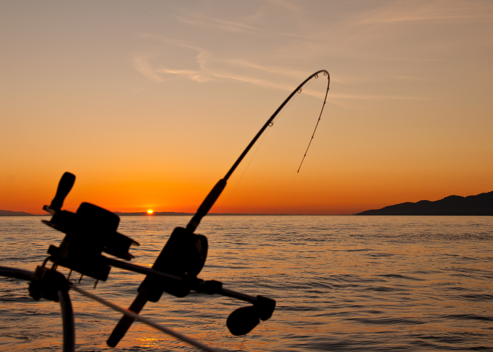 Graphic of a fishing rod as the necessary equipment for some fishing charters.